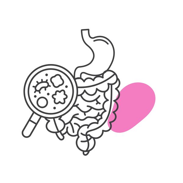 Gut Health IV